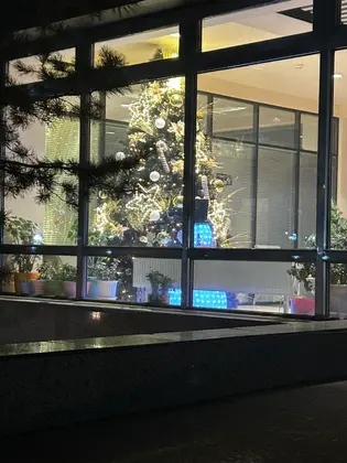 New year is coming…